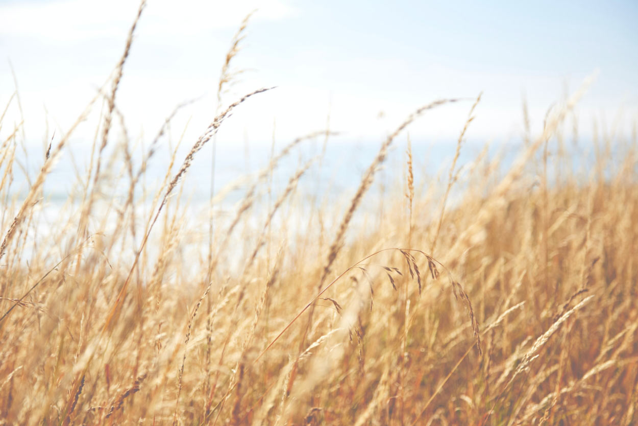 adriel-kloppenburg-7XbxVv9xC_8-unsplash
