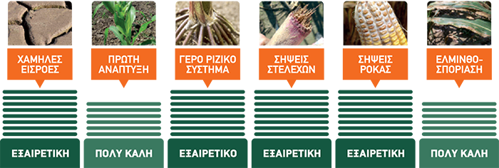 KERUBINO
