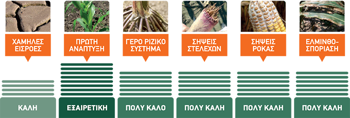 KULMOS